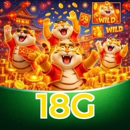 Termos e Condições Transparentes 18G